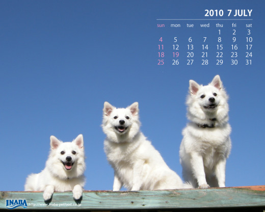 403038 (a): :1280x1024